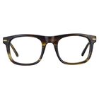 NELSON OPTIC, Shiny Ocre Tortoise-Demo Lens, hi-res image number null